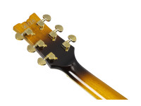 Ibanez JSM10EM-TTB John Scofield Ibanez JSM10EM-TTB John Scofield